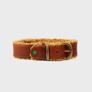 Leather Teddy Collar Brown - Dog with a Mission