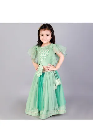 Mint Green Zari Embroidered Organza Top With Lehenga Set