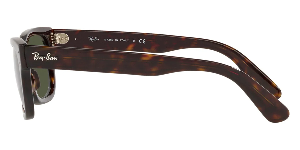 Ray-Ban® Mr BuRBank RB2283